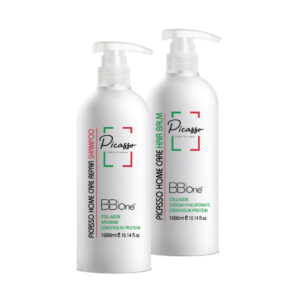 SET Picasso Pepair Home Care